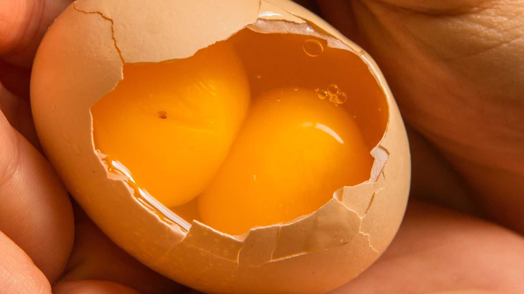 Разбитые яйца