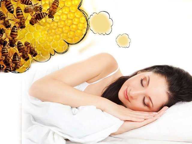К чему снятся пчелы – значение сна, толкование по сонникам
