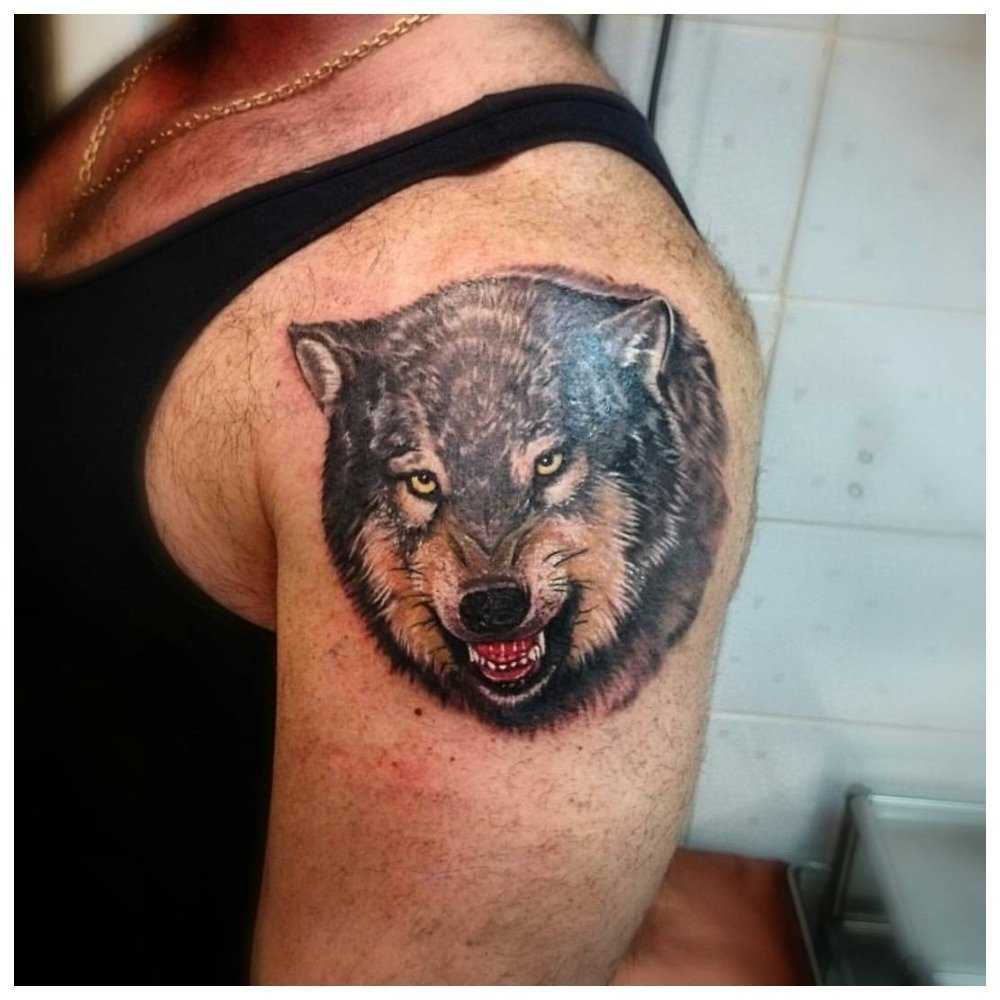Тату волка на плече - фото, значение, эскизы татуировки