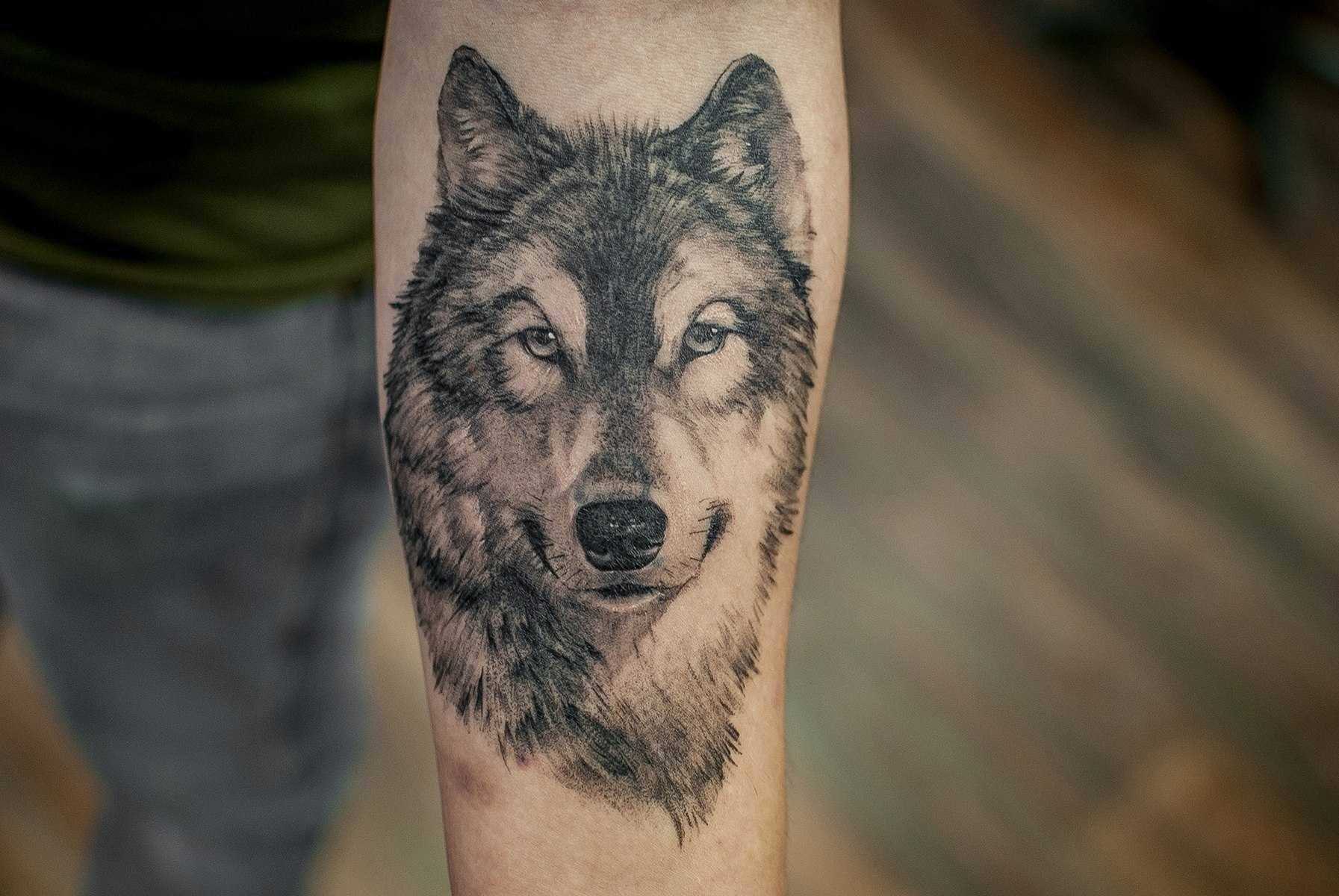 Tattoo • значение тату: волк