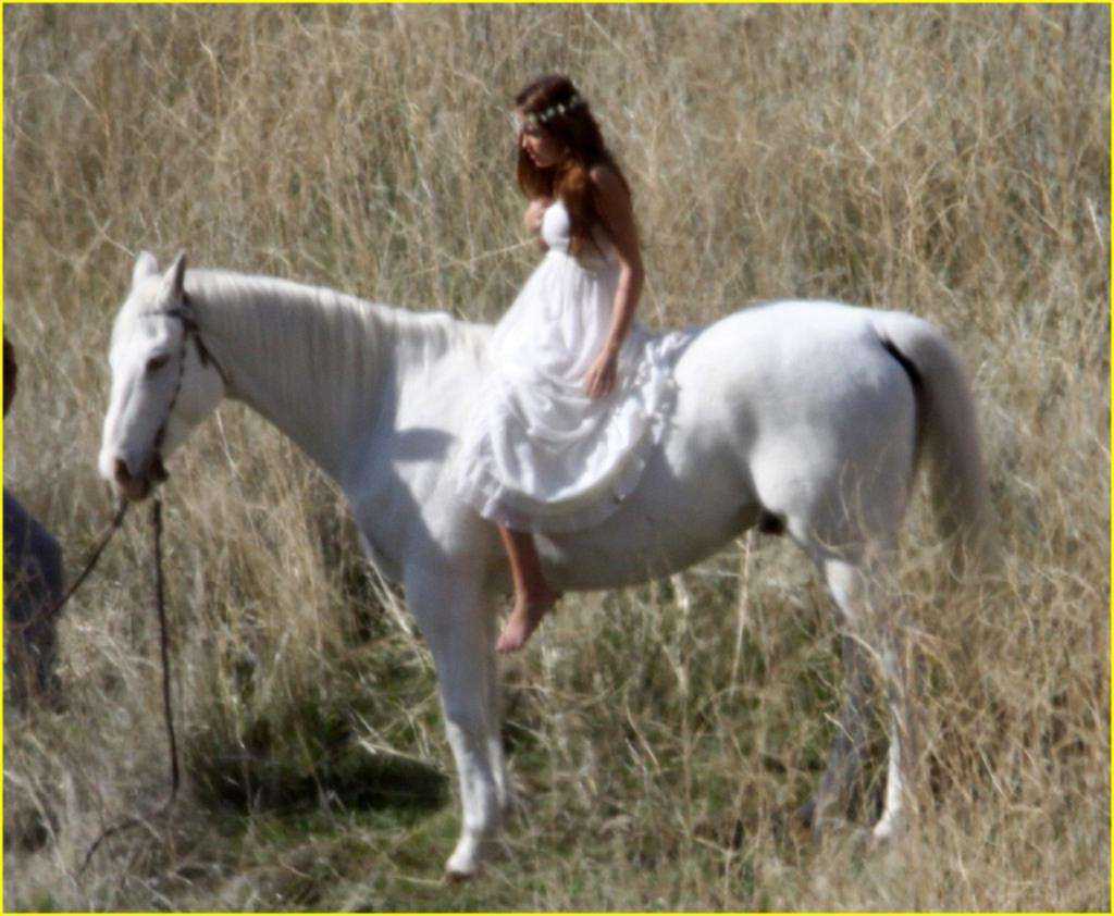 К чему снится черный конь по соннику? видеть во сне черного коня – толкование снов.
