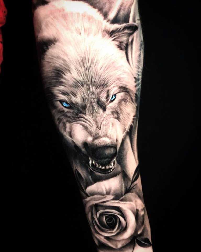 Тату волк (73 фото) - значение, лучшие эскизы с татуировкой волком для мужчин и девушек
