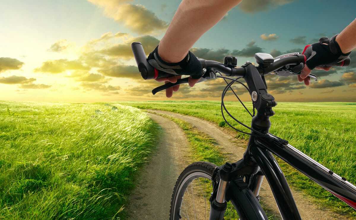 Сонник велосипед без колес: к чему снится и что означает сон?