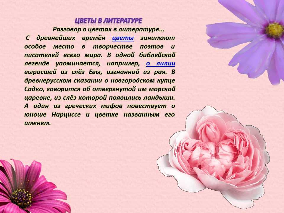 Цветы в произведениях любимых писателей