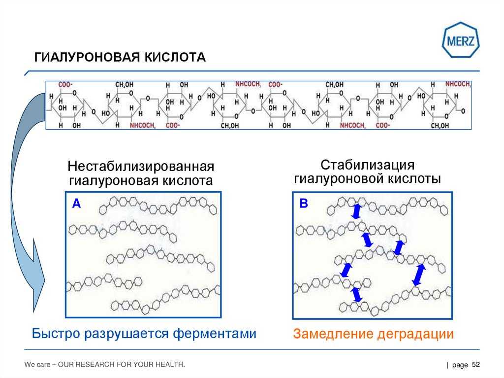 Гиалуроновая кислота презентация