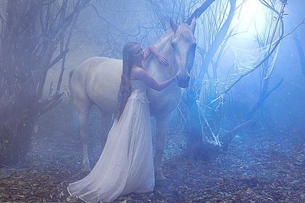 К чему снится лошадь женщине: значение и толкование сна - tolksnov.ru