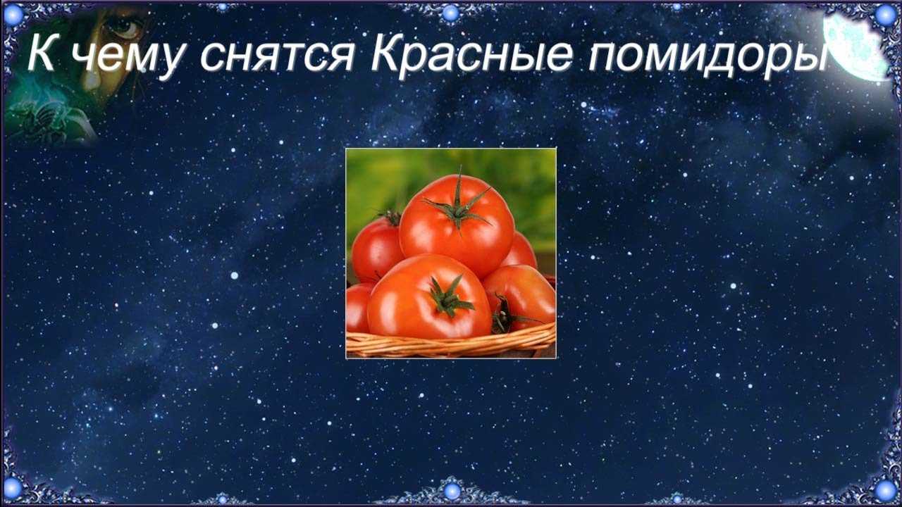 Сонник есть красную. К чему снятся помидоры. К чему снятся помидоры красные. К чему снится томат красный. Приснились помидоры во сне.