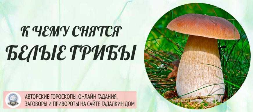 К чему снятся грибы - значение сна грибы по соннику