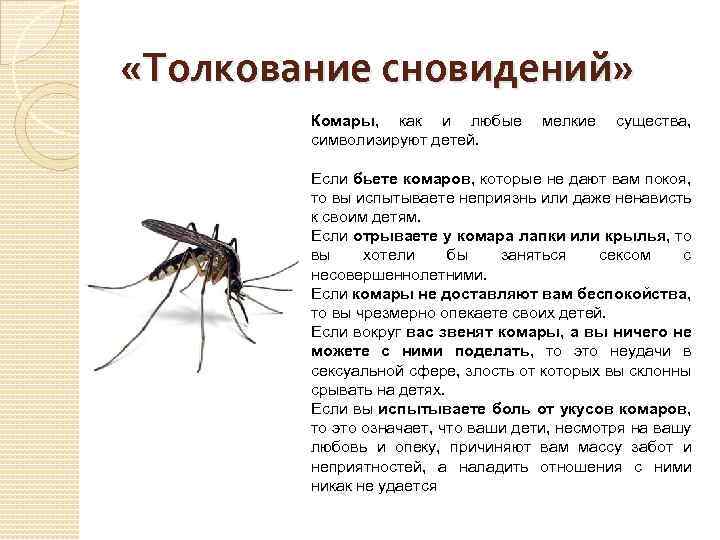 К чему снятся большие комары