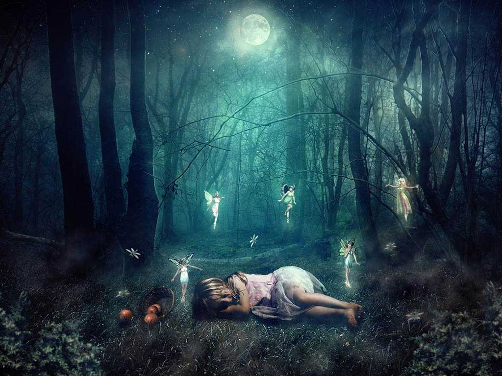 Деревья во сне к чему снится женщине. Сновидения. Девушка ночью в лесу. Лес сновидений. Сон в лесу.