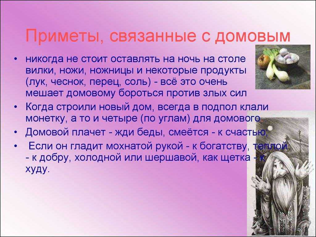 К чему дома появляются крысы: народные приметы