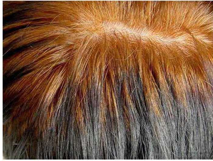 Эта удивительная басма для волос… хитрости применения и особенности красящего порошка