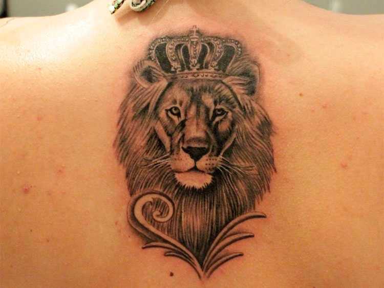 Значение татуировки лев: на руке, плече. эскизы +125 фото
