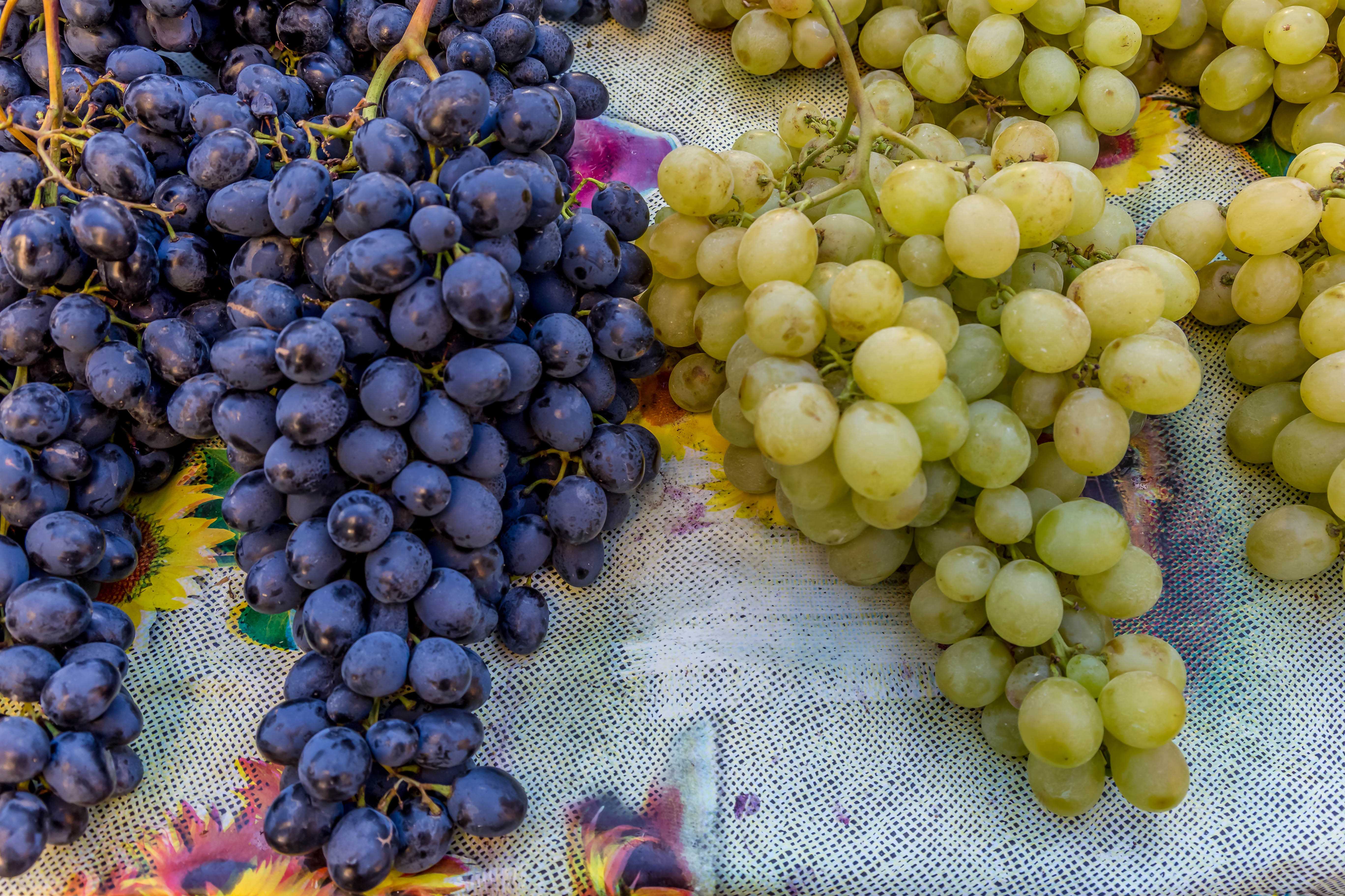 Сонник виноград: к чему снится виноград женщине