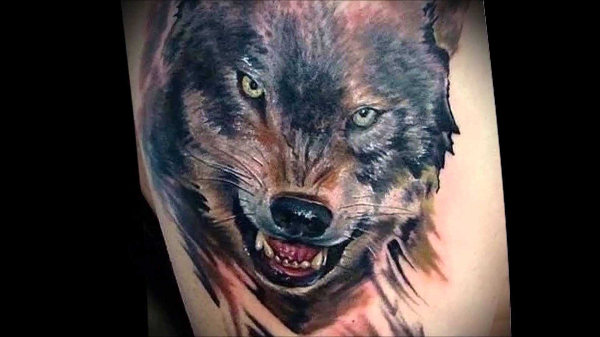 Татуировка волка — значение для мужчин и девушек, лучшие эскизы и фото идеи на руке, груди, предплечье, спине, ноге