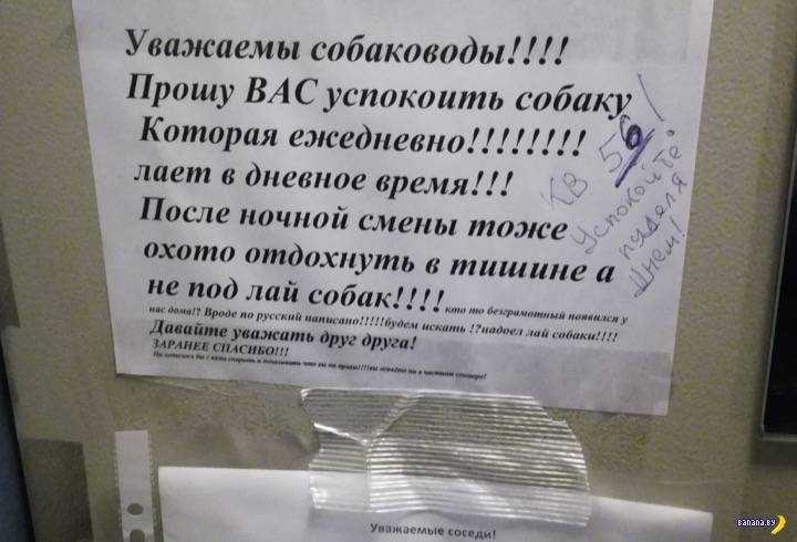 Что по приметам означает вой собаки