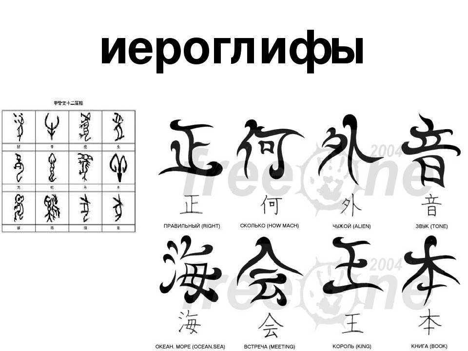 Тату иероглифы и их значения: китайские и японские символы счастья, богатства и любви