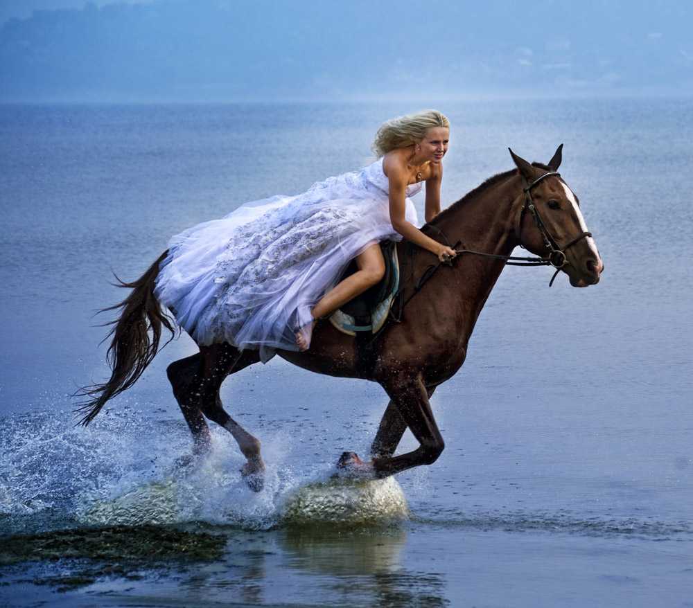 К чему снятся кони: толкование снов. к чему снятся белые и черные кони :: syl.ru