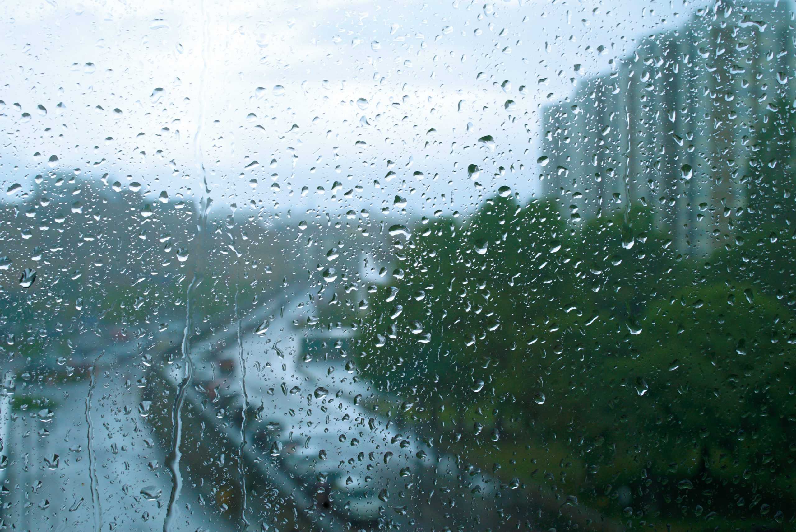 Как трактовать сновидение о дожде — 50 значений