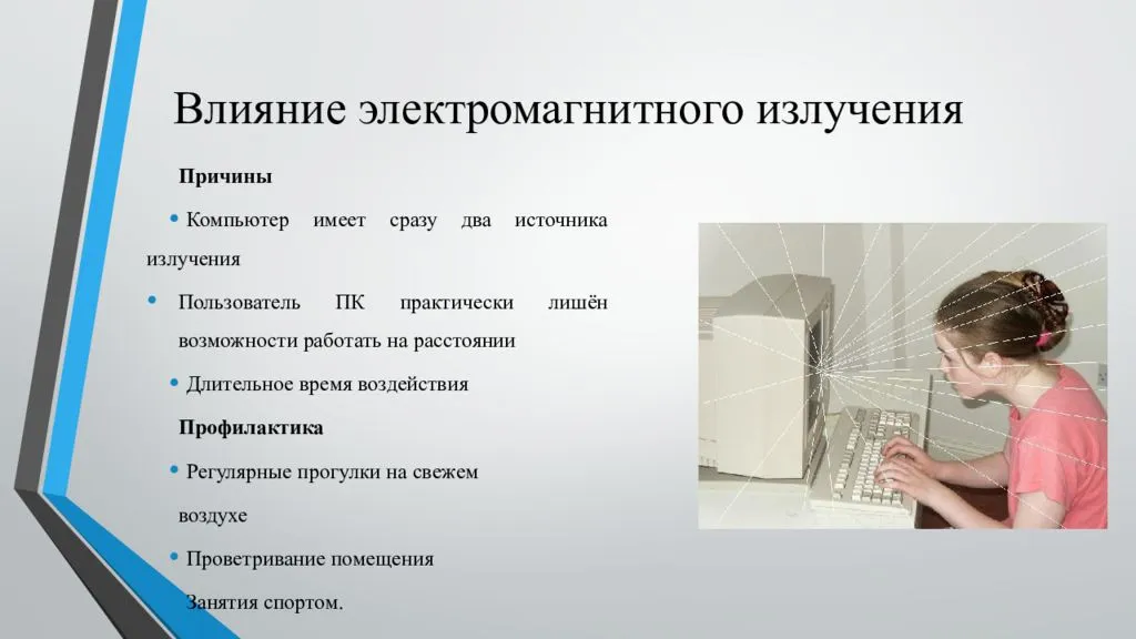Приметы много мышей осенью